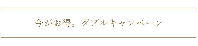 ダブルキャンペーンタイトル文
