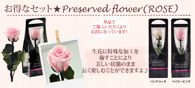 天使の卵 ホワイトデー ネックレス ペンダント
