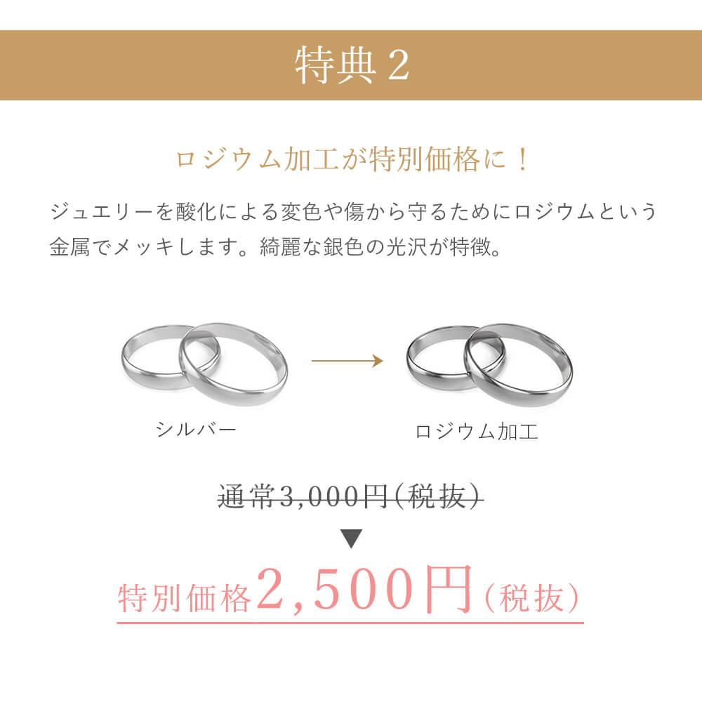 羽モチーフネックレス ピアス セット