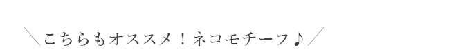 未来天使 エンジェルフレンズ シルバーピアス