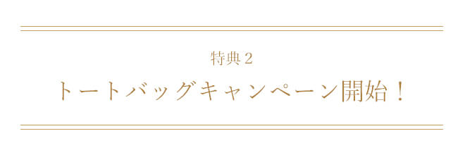 天使の日キャンペーン