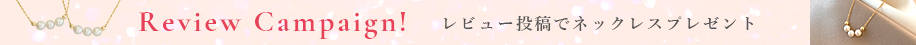 レビューキャンペーン