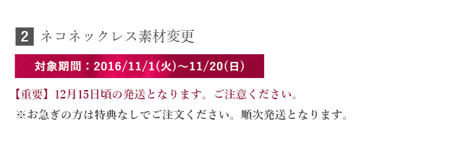 クリスマス プレゼント アクセサリー 特典