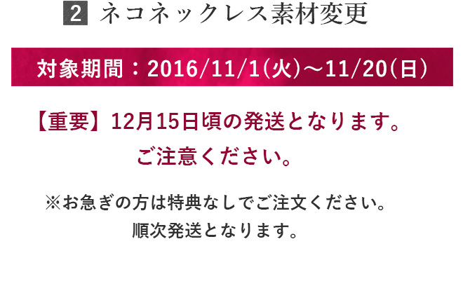 クリスマス プレゼント アクセサリー 特典