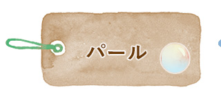 ホワイトデー パール アクセサリー