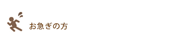 あす楽 即日配送