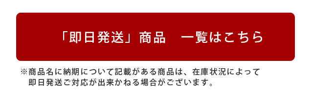 あす楽 即日配送