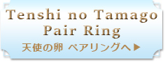 天使の卵ペアリング一覧へ