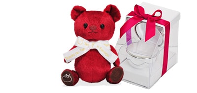 クリスマスプレゼント 限定 ラッピング